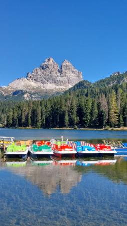 WhatsApp Image 2025 10 03 at 07.26.28 1