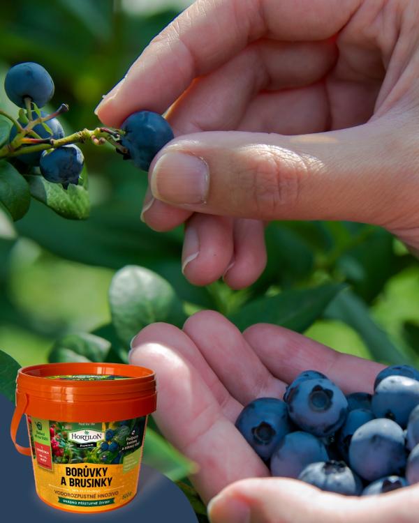 Pispvek IG 10801350px 1