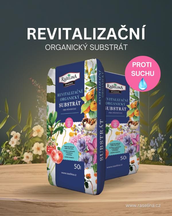 Pispvek IG 10801350px 4