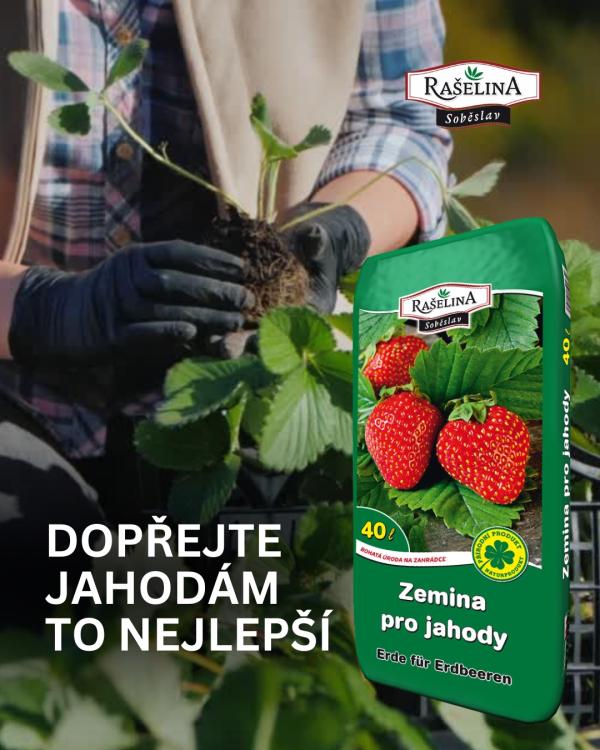 Pispvek IG Pispvek na Instagramu 45 2