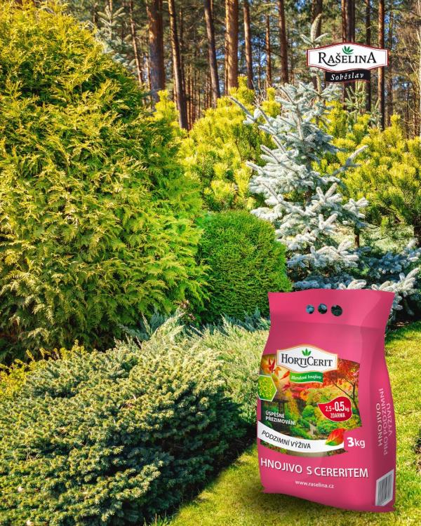 instagram pispvek ZK 7