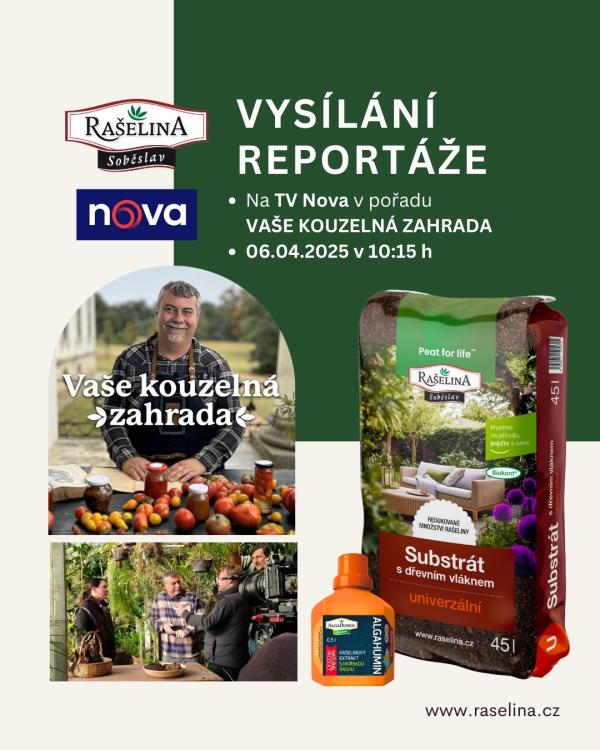 reportaz nova pispvek