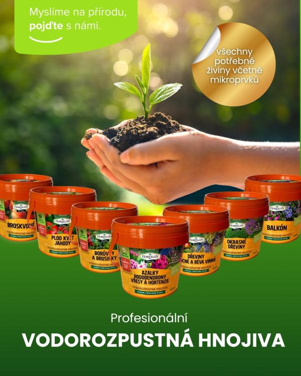 vodorozpustna hnojiva