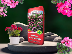 Muskaty 800 x 600 px