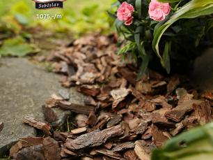 Pispvek IG 10801350px 2