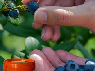 Pispvek IG 10801350px 5