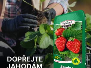 Pispvek IG Pispvek na Instagramu 45 2