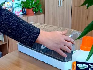 Screenshot 20250321 103834 Gallery