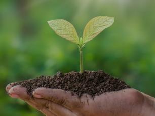 Vyprodej Zahradni centrum Pispvek na Instagramu 45