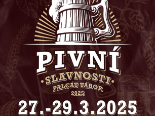 irpxblgcz1 560x560 1 2x2