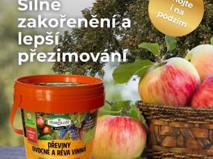 kampa 2025 OVOCNE DEVINY2