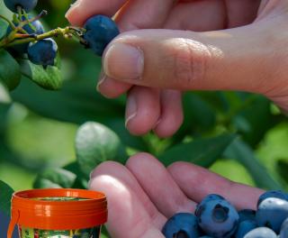 Pispvek IG 10801350px 5