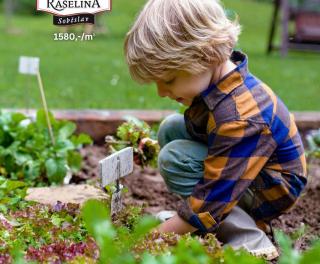 Pispvek IG 10801350px