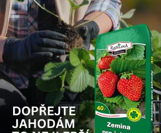 Pispvek IG Pispvek na Instagramu 45 1