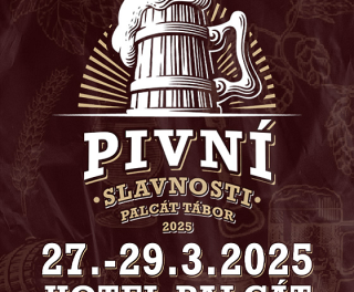 irpxblgcz1 560x560 1 2x2