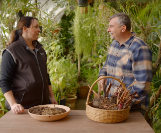 tv nova kopie zmensene2