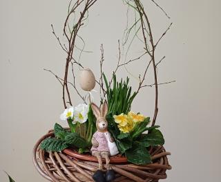 zmensena velikost jarni miska